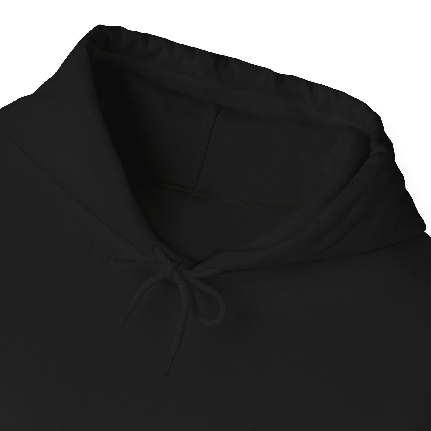 HOLY CARTI HOODIE